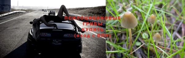не бодяженный Армянск
