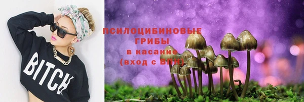 ALPHA PVP Аркадак