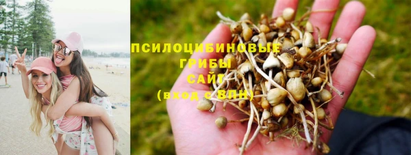 ALPHA PVP Аркадак