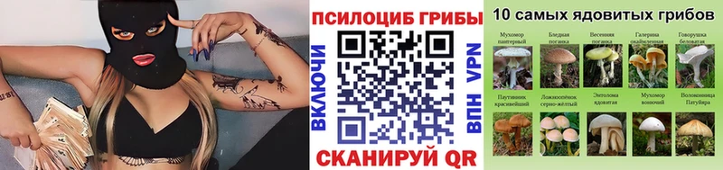 Псилоцибиновые грибы Cubensis blacksprut вход Строитель
